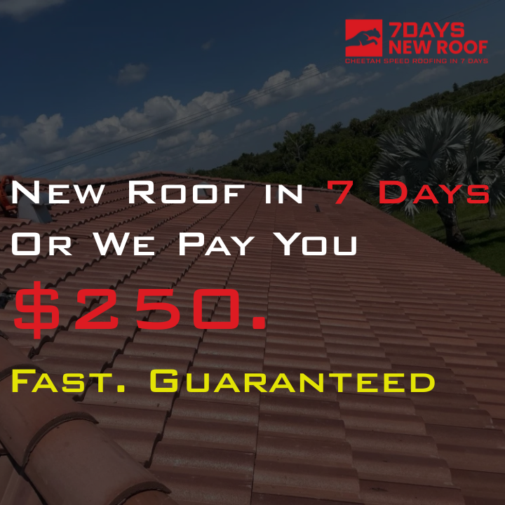 7 Days New Roof, Inc. - Residential Roofing in Tampa