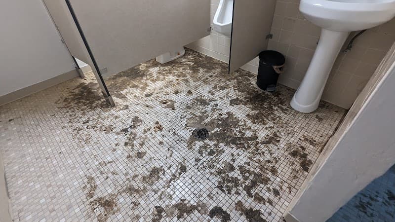 All Things Restored LLC - Roof Repair in Jacksonville