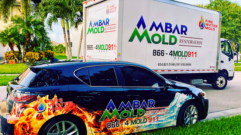 Ambar Mold - Roof Repair in West Palm Beach
