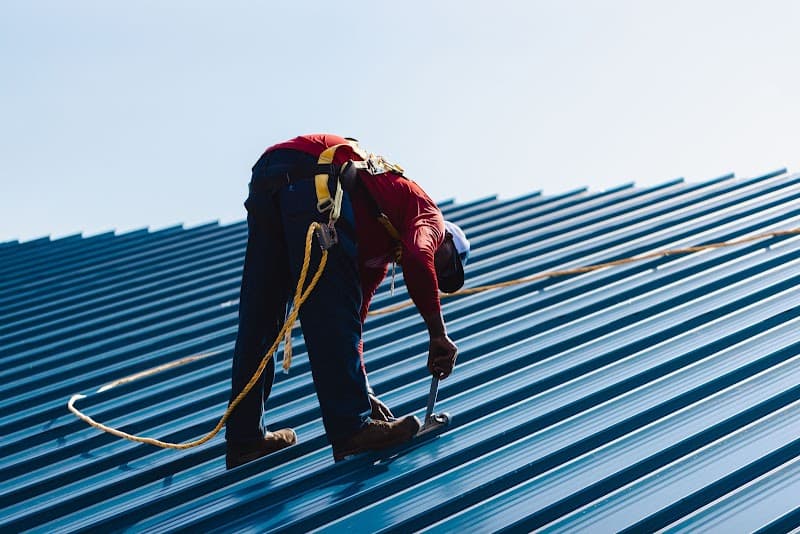 Big D Don Stauss Roofing Services - Shingle Roofing in Ocala