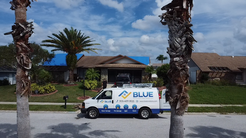 Blue Restoration Services - Roof Repair in Doral