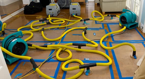 Drying Specialists of SW Florida - Roof Repair in Sarasota