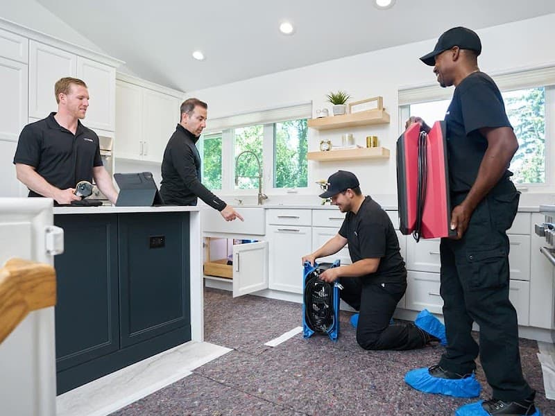 DRYmedic Restoration Services of Pompano Beach - Roof Repair in Pompano Beach