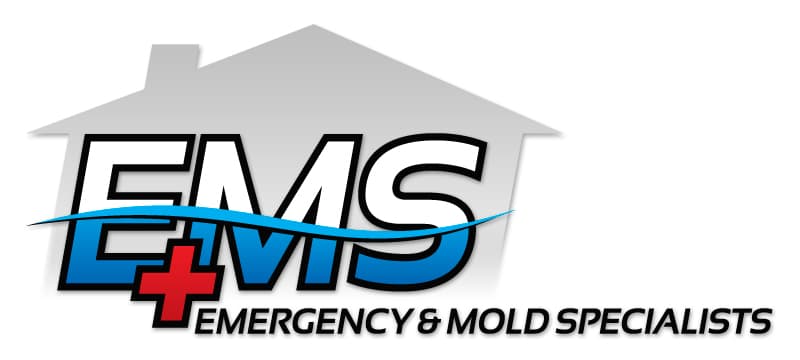 Emergency & Mold Specialists - Emergency Repair in Bonita Springs