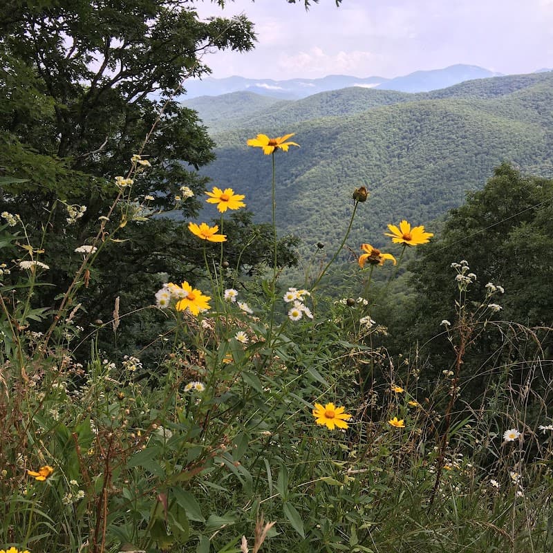 Ericks Environmental Consulting - Roof Repair in Tallahassee