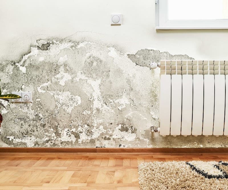 Fast Response - Roof Repair in Sarasota