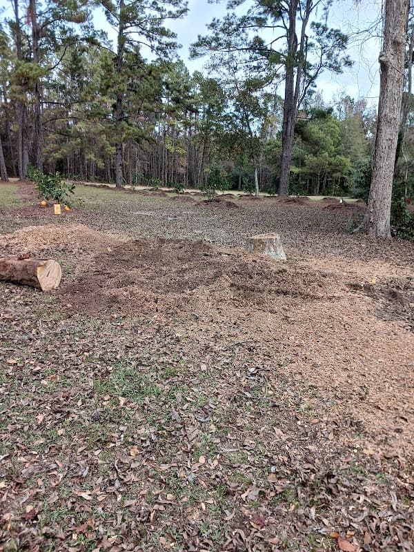 Fielder Tree Service - Flat Roofing in Tallahassee
