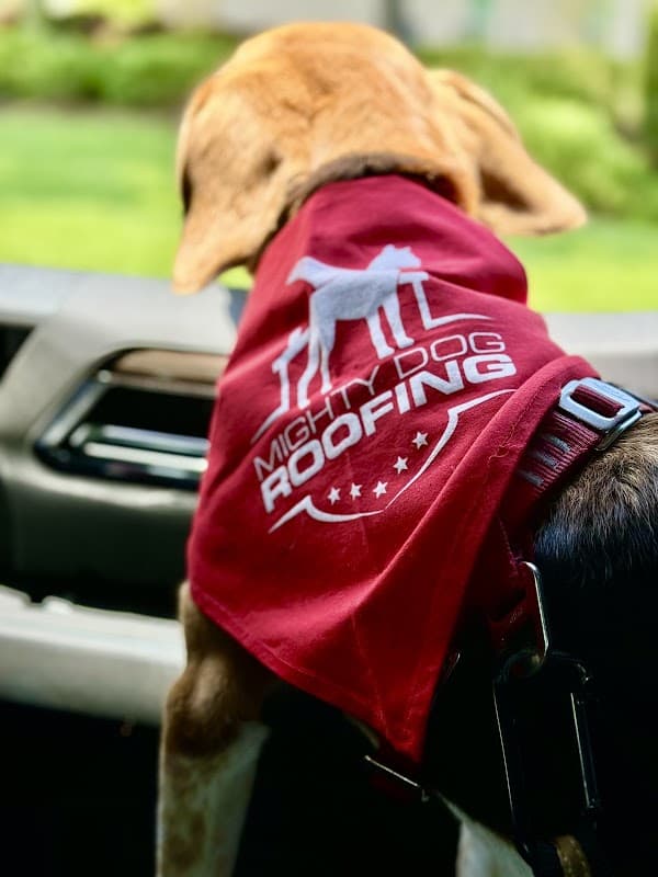 Mighty Dog Roofing of Fort Myers - Roof Replacement in Fort Myers