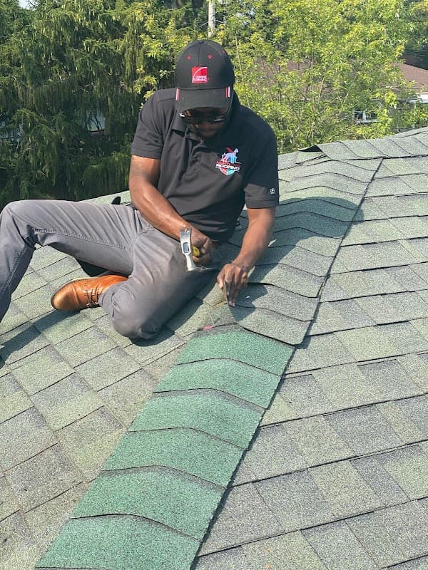 Mighty Dog Roofing of St Petersburg - Roof Repair in Pinellas Park
