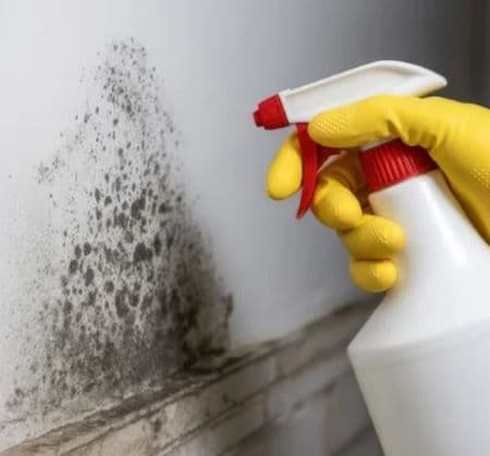 Moisture Mitigation Masters - Roof Repair in Oakland Park