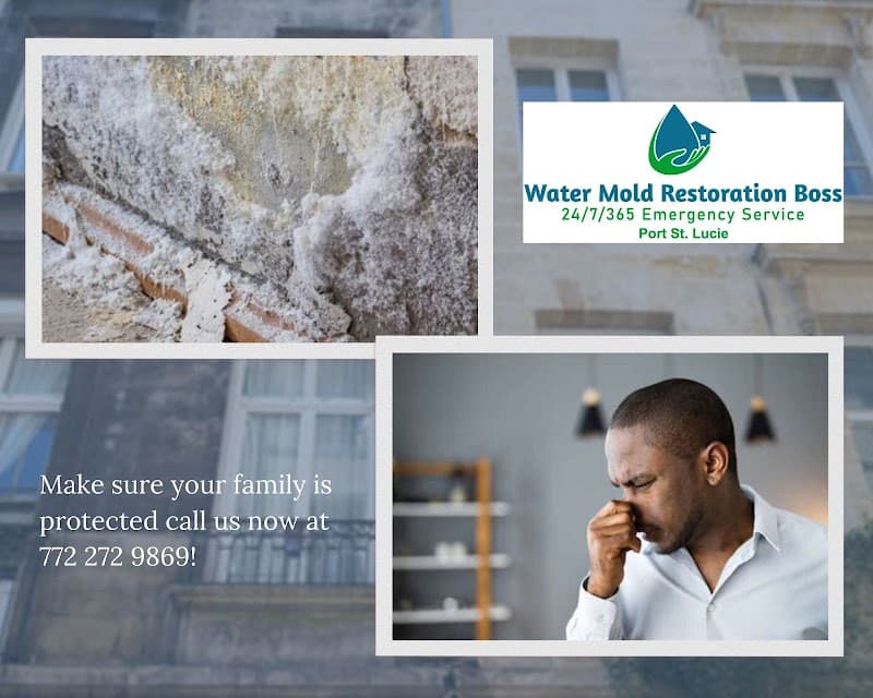 Mold Boss of Port St Lucie - Roof Repair in Port St. Lucie