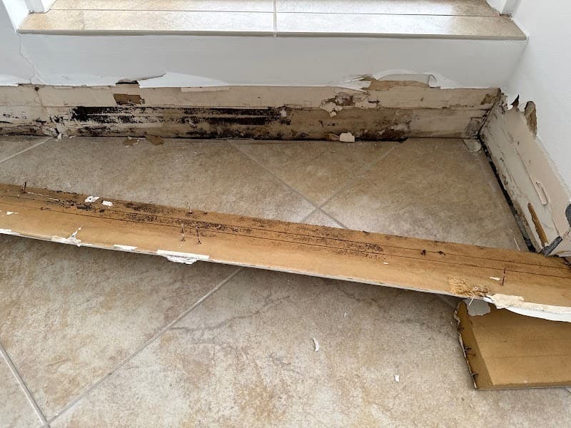 Paradise Coast Restoration Inc - Roof Repair in Marco Island