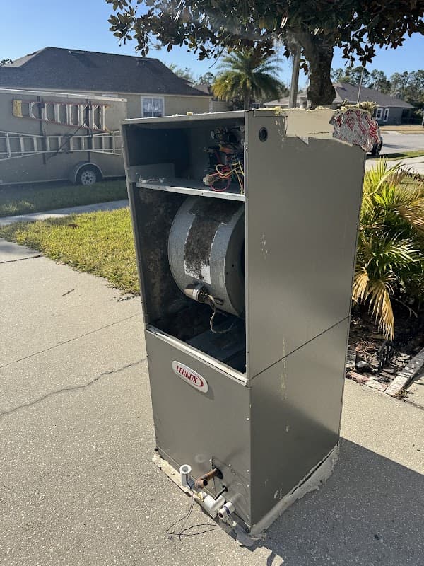 PuroClean Certified Specialists - Roof Repair in Zephyrhills