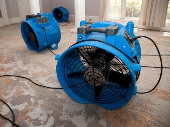 Revive Orlando - Roof Repair in Orlando