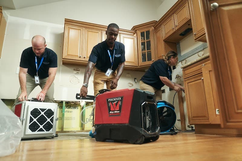 Rytech Restoration of Lee & Collier Counties - Roof Repair in Fort Myers