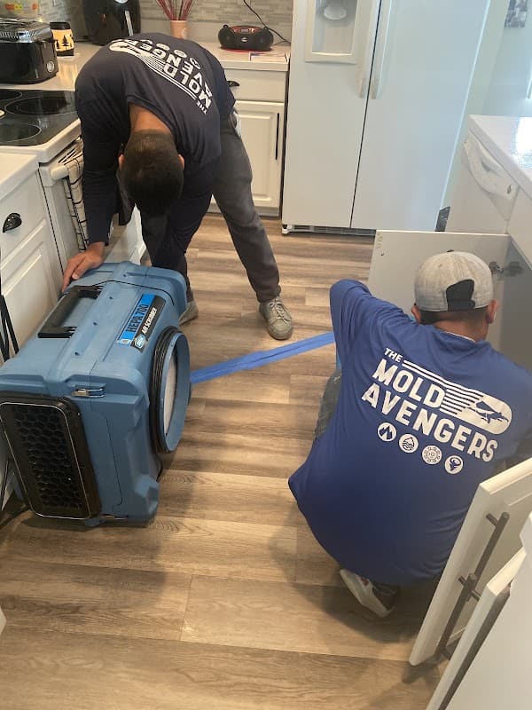 The Mold Avengers | Restoration Company Florida - Roof Repair in Miami