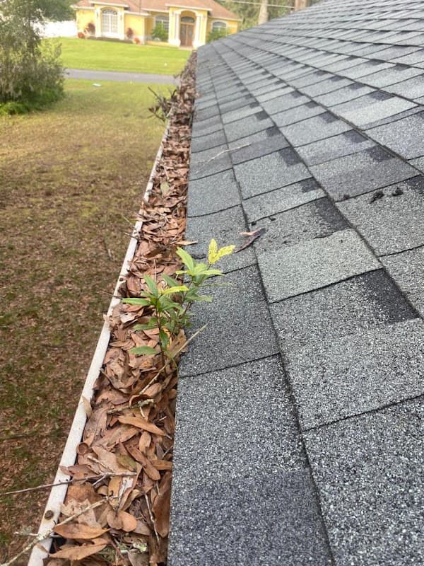 True Gutters LLC - Gutter Installation in Ocala