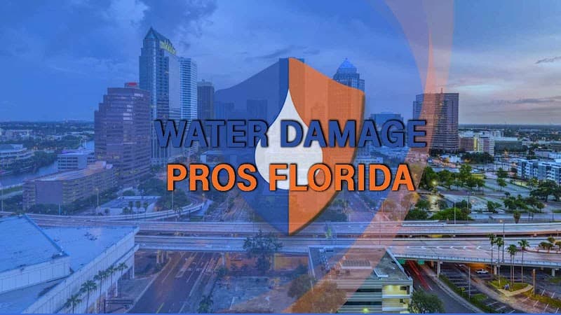 Water Damage Pros FL - Roof Repair in Tampa