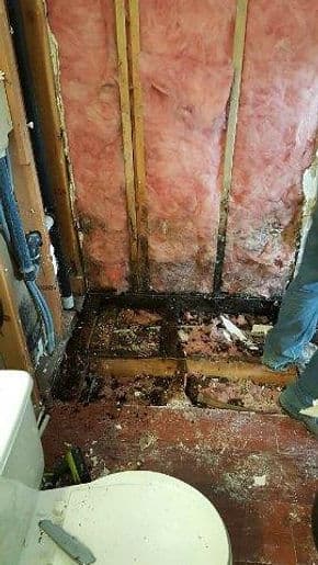 Water Restoration Pros - Roof Repair in St. Petersburg