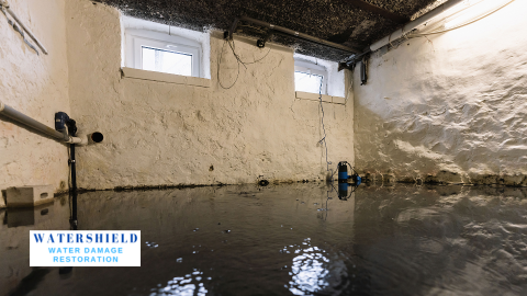 WaterShield - Roof Repair in Orange Park