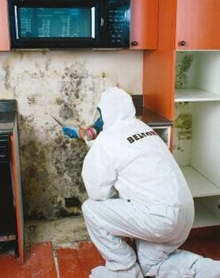 BELFOR Property Restoration - Roof Repair in Tampa