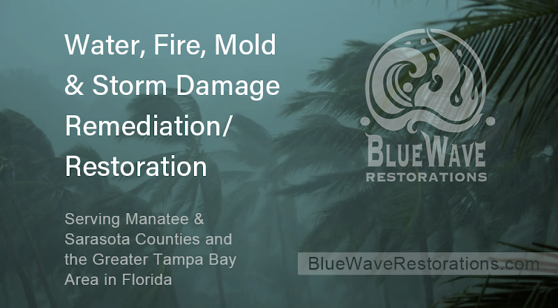 BlueWave Restorations - Roof Repair in Bradenton