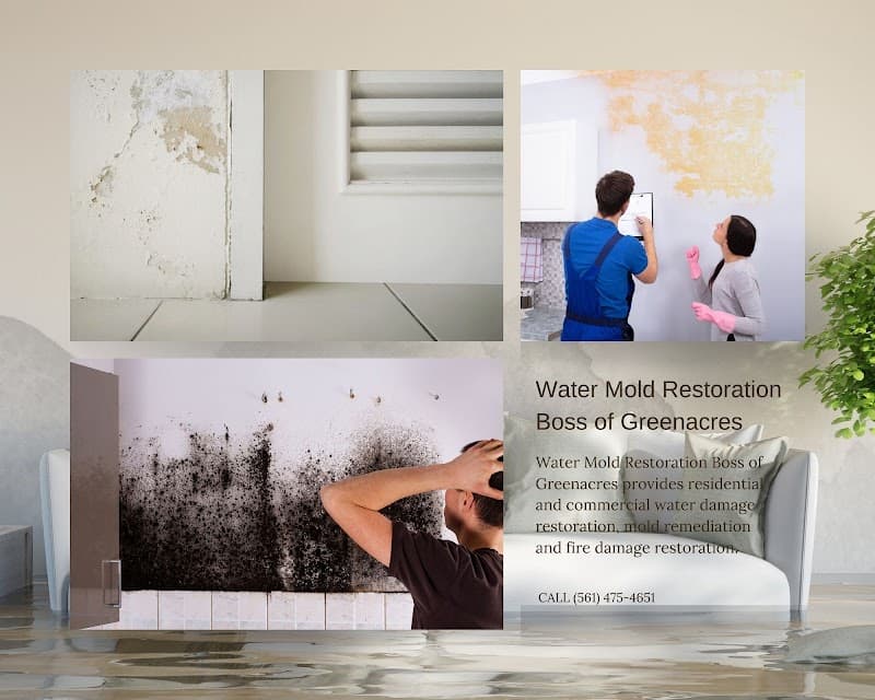 Boss of Greenacres - Roof Repair in Greenacres