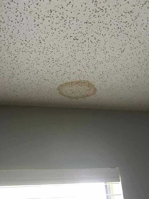 Cardinal Roofing & Siding - Metal Roofing in Port St. Lucie