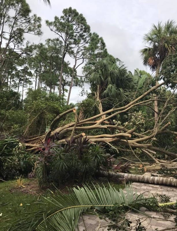 Coastal Property Restoration - Roof Repair in Stuart