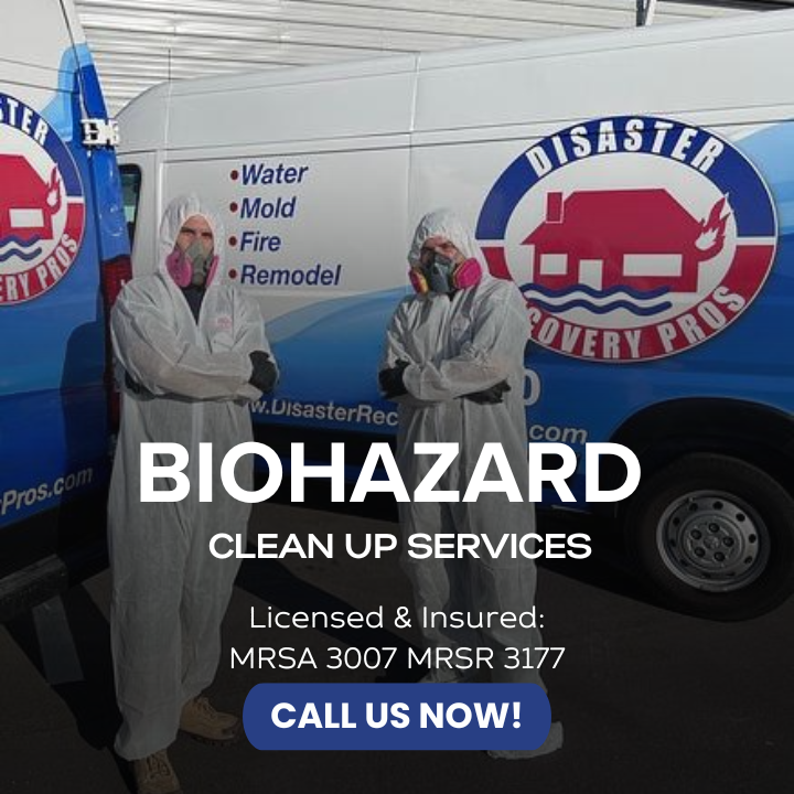 Disaster Recovery Pros, Fire & Water Damage Restoration, Mold Remediation - Roof Repair in Clearwater