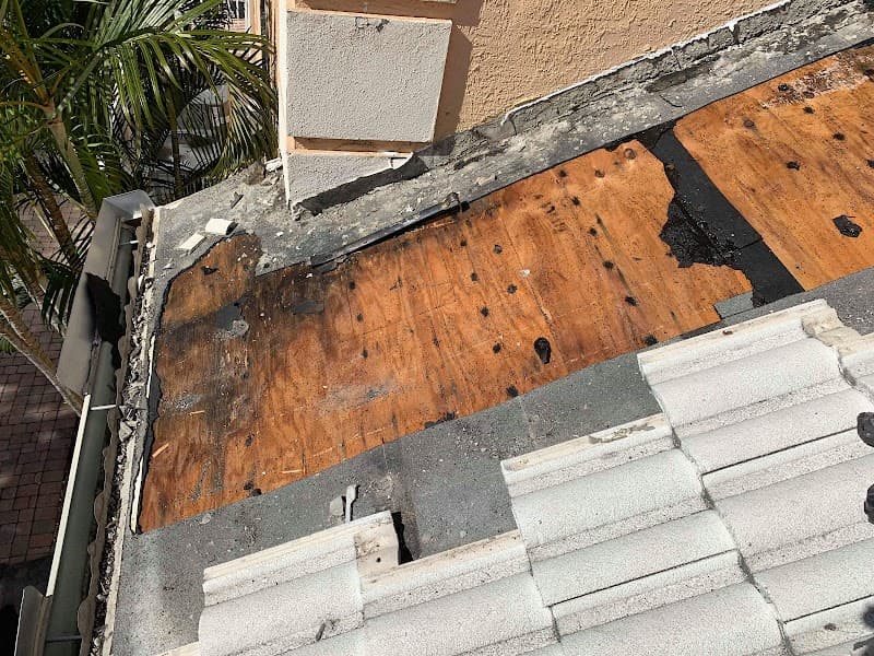 Hammer Roofing - Emergency Repair in Naples