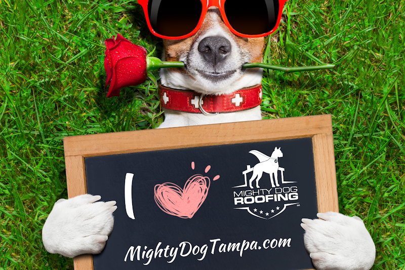 Mighty Dog Roofing of West Tampa - Residential Roofing in Tampa
