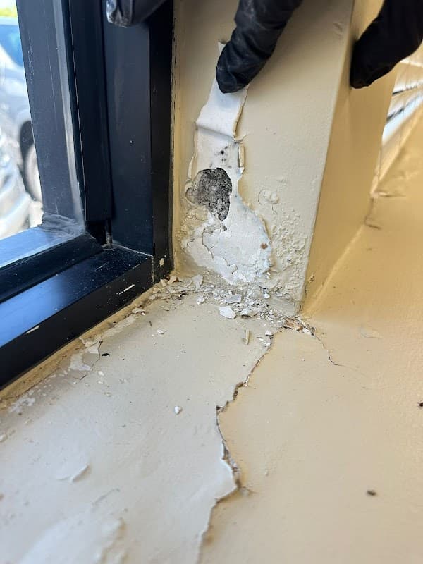 Mold and Environmental - Roof Repair in Fort Pierce