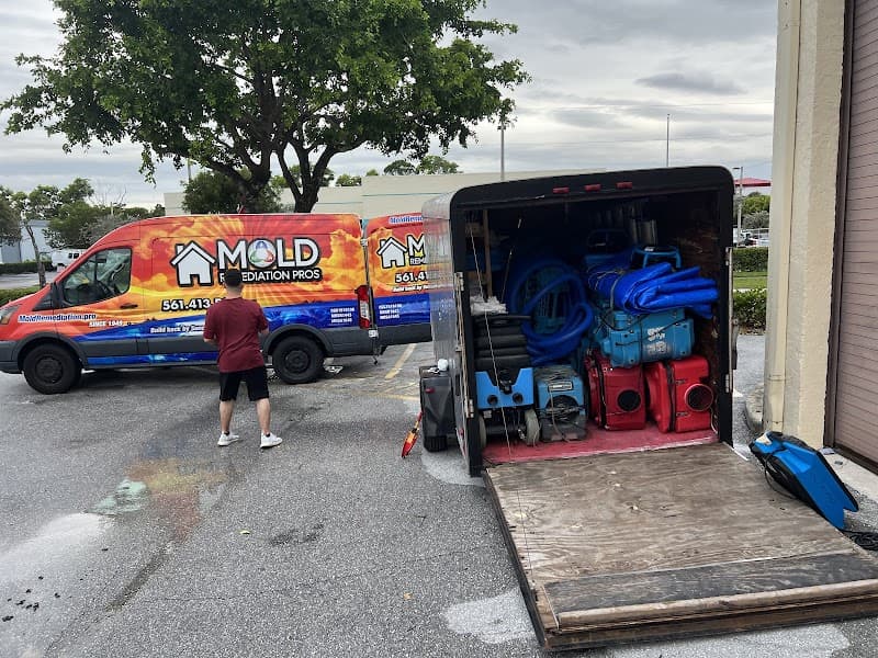 Mold Remediation of Naples - Roof Repair in Naples