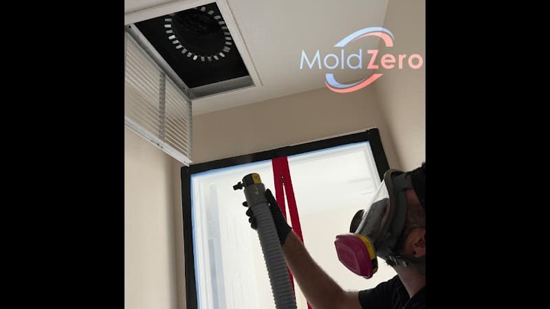 Mold Zero - Roof Repair in Largo