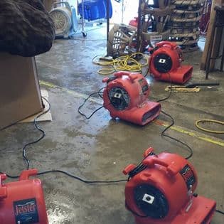 Philip White Painting LLC - Roof Repair in Orlando