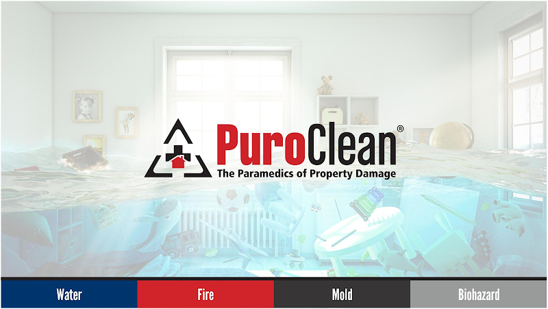 PuroClean of Naples - Roof Repair in Naples