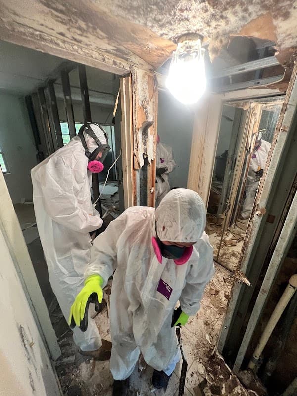 Restoration Xperts - Roof Repair in Deerfield Beach