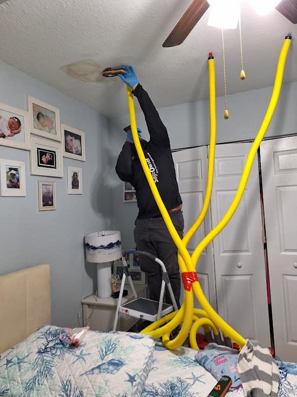 SafeOwner: Safe Owner - Roof Repair in Miami